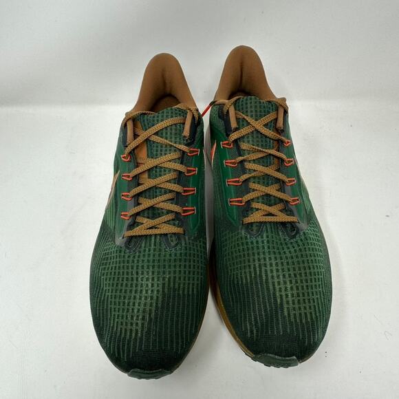 Nike x Hola Lou Air Zoom Pegasus 39 A.I.R. Men\'s 11 D09500-300 Green Running main image 8